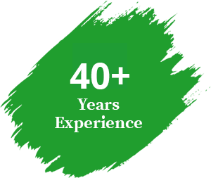 experience 